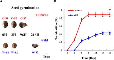 Beta-Amylase and Phosphatidic Acid Involved in Recalcitrant Seed Germination of Chinese Chestnut